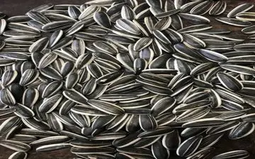 آشنایی با مضرات و فواید تخمه 