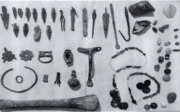 کشف ۱۰۰ قطعه تاریخی در هرسین


