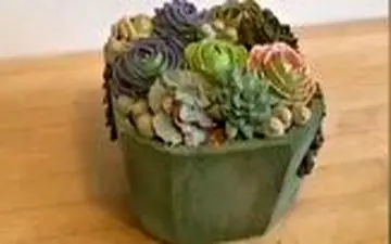 عجیب‌ترین و خلاقانه‌ترین مدل‌های کیک 