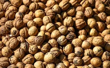 قیمت گردو از کیلویی نیم میلیون عبور کرد 