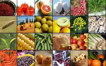 افزایش 10 میلیون تنی تولید محصولات کشاورزی