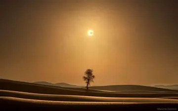 ناسا این عکس خاص را از بیابان شکار کرد 