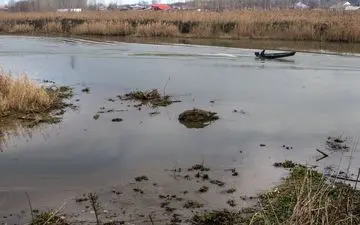 قبل مرگ تالاب انزلی چاره ای بیاندیشیم
