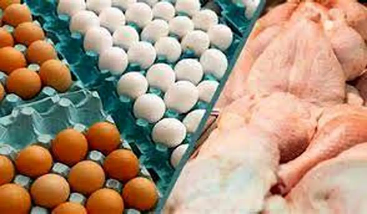 آخرین قیمت مرغ و تخم مرغ در بازار (۳ اسفند) 